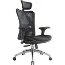 Sihoo M57 Chaise de bureau ergonomique en mesh avec soutien lombaire réglable, accoudoirs 3D, dossier haut respirant, noir image 1