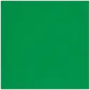 Unique Party Lunch Napkins, Emerald Green, 20 Pack image 0