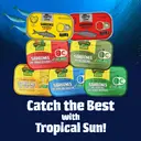 Tropical Sun Canadian Style Sardines In Tomato Sauce image 3