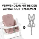 Hauck Sitzverkleinerer / Sitzkissen für Alpha Hochstuhl Cosy Select - Disney - Bambi Rose image 1