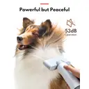 homerunPET Pet hair blower PD10 Ultra Quiet,Smart Technology pet drying ,coanda effect,3 included nozzles,20 Million Negative Ions image 1