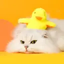 Petgravity Jouet interactif en peluche pour chat, Canard à ailes battantes, Lot de 1, Rechargeable USB-C, Contient de l’herbe à chat, Jouet couineur, Jouet de chasse image 2