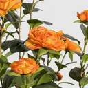 Candlelight Artificial Camelia Flower Stem Orange 38cm image 2