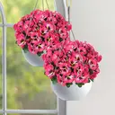 Yuejia 4Pcs 11in/28cmArtificial Pansies Flowers Outdoor Faux Flowers Plastic Plants Artificial Silk Flowers for Front Porch Garden Window Box Hanging Planter Decoration(rose red) image 5