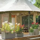 DEROMA Cubo Millennium R Sandstone à réserve d'eau et roulettes 49cm image 3