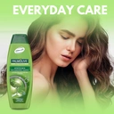 Palmolive Silky Shine Aloe Shampoo 350ml image 3