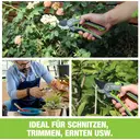 WORKPRO Sécateurs Bypass avec lame SK5 - 210 mm image 7