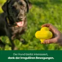 Earth Rated Jouet à mâcher en caoutchouc - 10 x 6,5 x 10 cm image 3