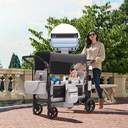 Sekey Poussette pour 2 enfants pliable avec toit, double poignée et siège double avec 2 systèmes de harnais à 5 points intégré - Gris image 5