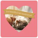 Burgess Adult Cat Chicken and Duck 1.5kg image 2