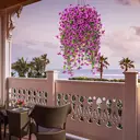 4Pcs 28.7in/72.8cm
Artificial Hanging Flowers for Outdoors Fake Plants Decoration,Faux Silk Colorful Daisy Eucalyptus Realistic for Outside Home Planter Porch Patio Yard Decor(purple) image 3