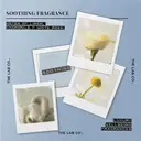 The Lab Co. Luxury Scented Candle | Ceramic Jar | 45hrs Burn Time | Soothing Fragrance with Linen, Chamomile and White Rose | 100% Vegan Soy Wax | 280g wax weight image 6