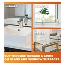 Mr Muscle Platinum Window & Glass Cleaning Spray, 500ml image 2