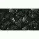 La souris P.I. à louer - PS5 - Édition Mouseburg image 8