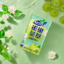 Nestlé Nestea Thé au jasmin et agrumes - 6 x 250 ml image 2