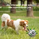 BLINKIT Ballon de football interactif pour animaux de compagnie - 15 cm image 2