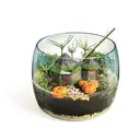 Clementoni Harry Potter Hagrid's Hut Terrarium image 5
