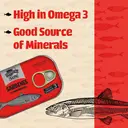 Tropical Sun Sardines In Sunflower Oil image 2