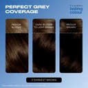 Clairol Lasting Colour Permanent Colour Hair Dye 3 Darkest Brown 1 Pack image 3