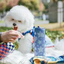 Bottle Bottle Stainless Steel Water Bottle 700ml with Straw and Lid Sports Insulated Metal Water Bottles with Handle (Denim Beats) image 5