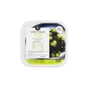 MON PANIER D'ASIE Salade d'algues hijiki surgelée 200g image 0