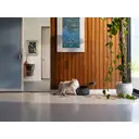 PETLIBRO Polar Smart Wet Food Feeder – App-Controlled, Cooled, Black image 8