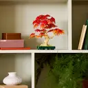 乐高植物系列 10348 日本红枫盆景 image 3