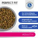 PERFECT FIT™ Adult Trockenfutter für erwachsene Katzen ab 1 Jahr - Lachs, 750g (6 Beutel) image 5
