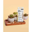 The Humble Co. Interdental Brush Bamboo Size 4 0.70mm 6 Pack image 3