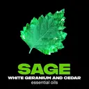 Lynx Fine Fragrance Collection Premium Deodorant Bodyspray Emerald Sage 150ml image 2