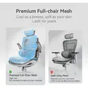 Sihoo M59AS Chaise de bureau ergonomique - Gris image 6