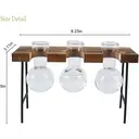 Senhoglb air plant holder, New Year Sale , Top gift picks image 5