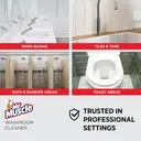 Mr Muscle Professional Disinfectant Bathroom Spray, 750ml image 7