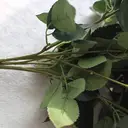 Yuejia 1Pc 18.89in/48cm Artificial Roses Flowers Arrangement Silk Bouquet for Home Office Parties Bridal and Wedding Decoration(white) image 7