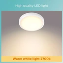 Philips Ceiling Light LED Luminaire Doris Bathroom Warm White 17W Chrome D:31.3cm image 4
