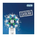 Oral-B EB 10 2 Frozen 2 Stück (en) Blau, Rosa Haarbürste - Bürstenkopf (blau, rosa) image 2
