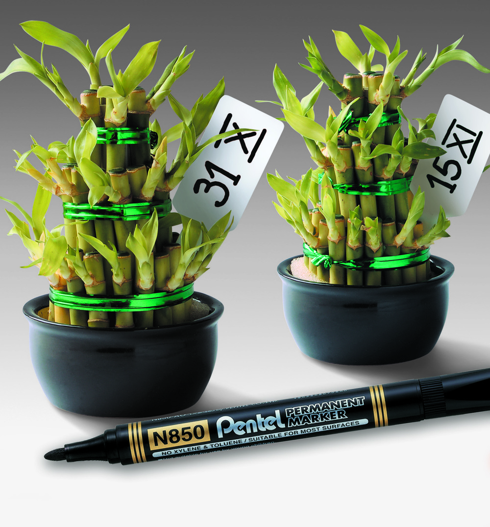 Pentel N850 Permanent Marker Bullet Tip Black Pack of 12 image 5