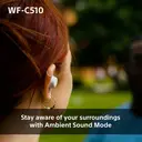 Sony WF-C510 True Wireless Earbuds (White) image 10