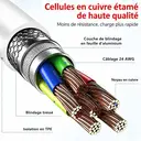 dpower F9000 Câble Type-C vers Type-C 1 Mètre, Charge Rapide 3A, Transmission 480 Mbps, Câble Cuivre TPE Compatible MacBook iPhone 16 iPad Samsung image 2