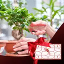 FLORA GUARD Lot de 2 sécateurs de taille en acier inoxydable affûtés à pointe fine avec lame droite et courbée image 5