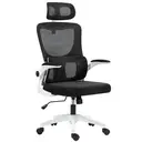 Vinsetto Ergonomic Office Chair, High Back Mesh Computer Desk Chair with Adjustable Arms, Headrest and Lumbar Support, Tilt Function for Home Office, Black image 1