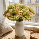 3Pcs 9.05in/23cm
Artificial Silk Gerbera Flowers Wedding Home verandahs Table Decor Fake Daisy Chrysanthemum Party Home Decoration(green) image 1