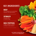 Lily's Kitchen Beef Goulash with Pumpkin & Cinnamon 150g image 1