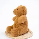 Peluche ours brun - 23 cm image 1