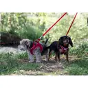 Ancol Viva Collar Red 28-36cm Size 3 image 3