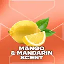 Lynx Sunset Fresh Shower Gel 700ml image 5