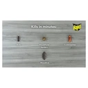 Raid Ant Cockroach Insect Killer Aerosol Spray 300ml image 7