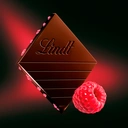 Lindt Excellence Raspberry Intense Dark 100g image 1