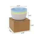 Simple Design Small Dinner Bowl & Plate 4-Piece Set, Plastic, Compact & Portable image 4