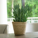 Bergen Jute Natural Lined Planter H16Cm D18Cm image 1